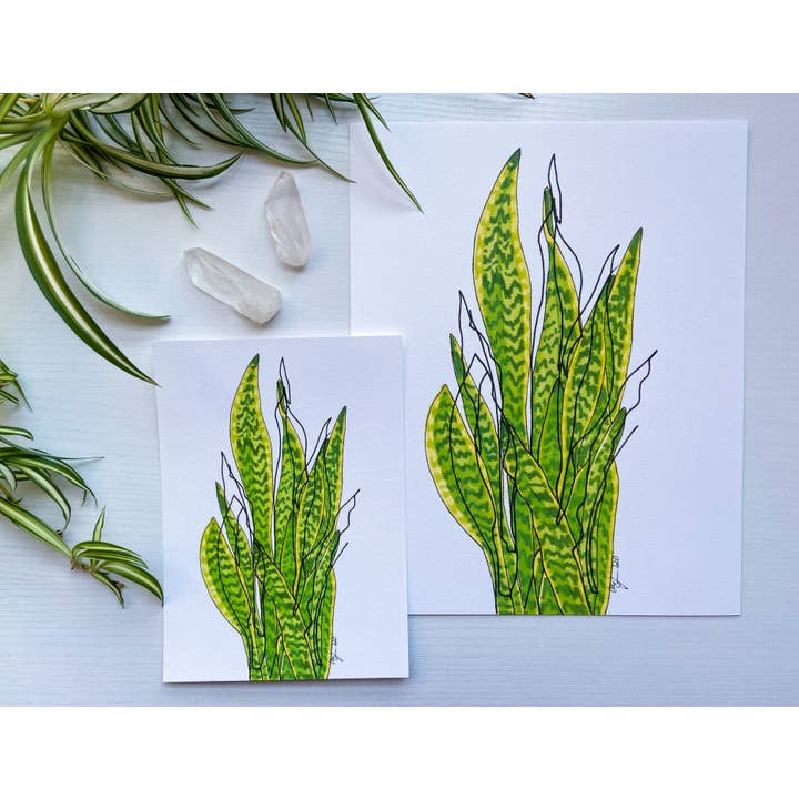 AEJ.CREATE - Wholesale Art Print - Archival Houseplant Art Print - Snake Plant3