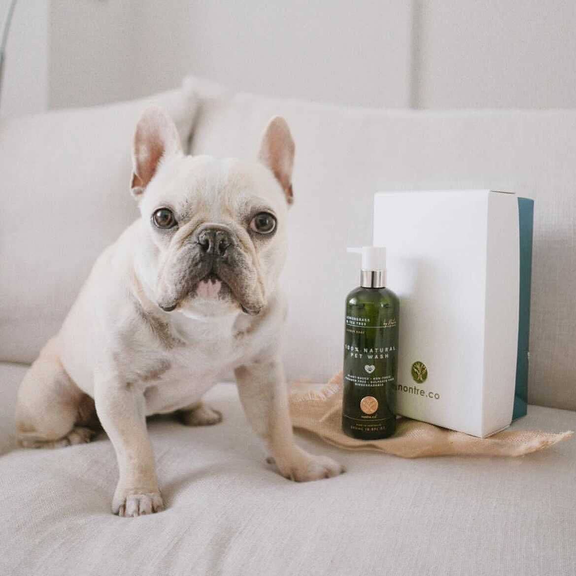 nontre.co - Wholesale Pet Cleaning Supplies - Pet Wash 500ML, 100% Naturally Protective6