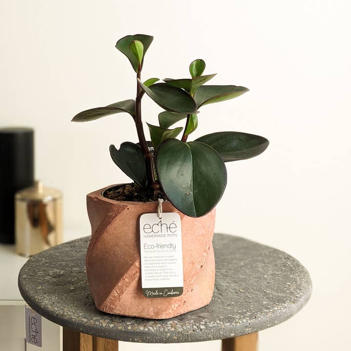 Hemp & Coconut fibre Swirl Pot - Handcrafted in Australia for wholesale by Eché pots