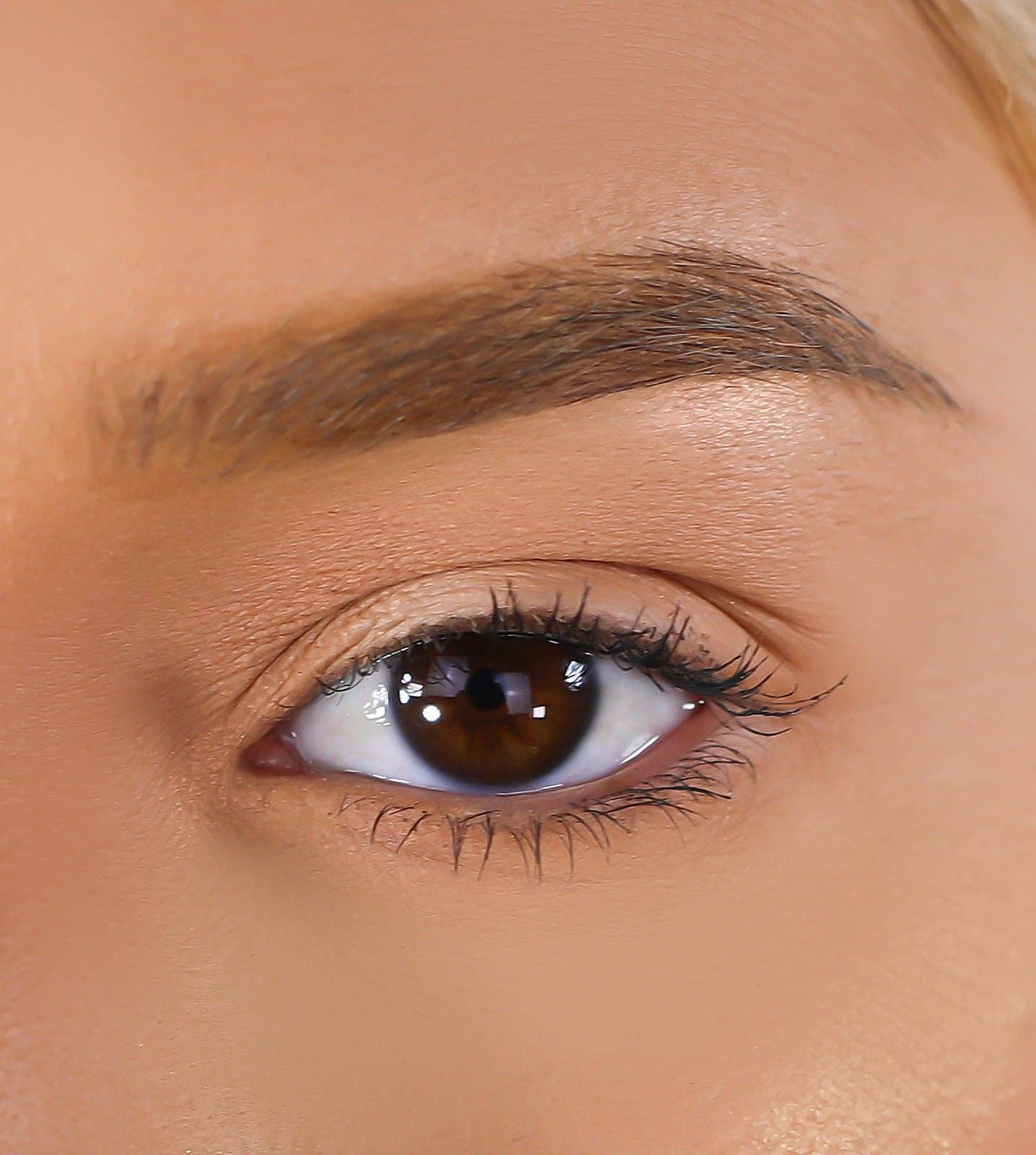 VIAI Beauty - Wholesale False/Fake Eyelashes - LURELLA 3D Mink Eyelashes - Confident2