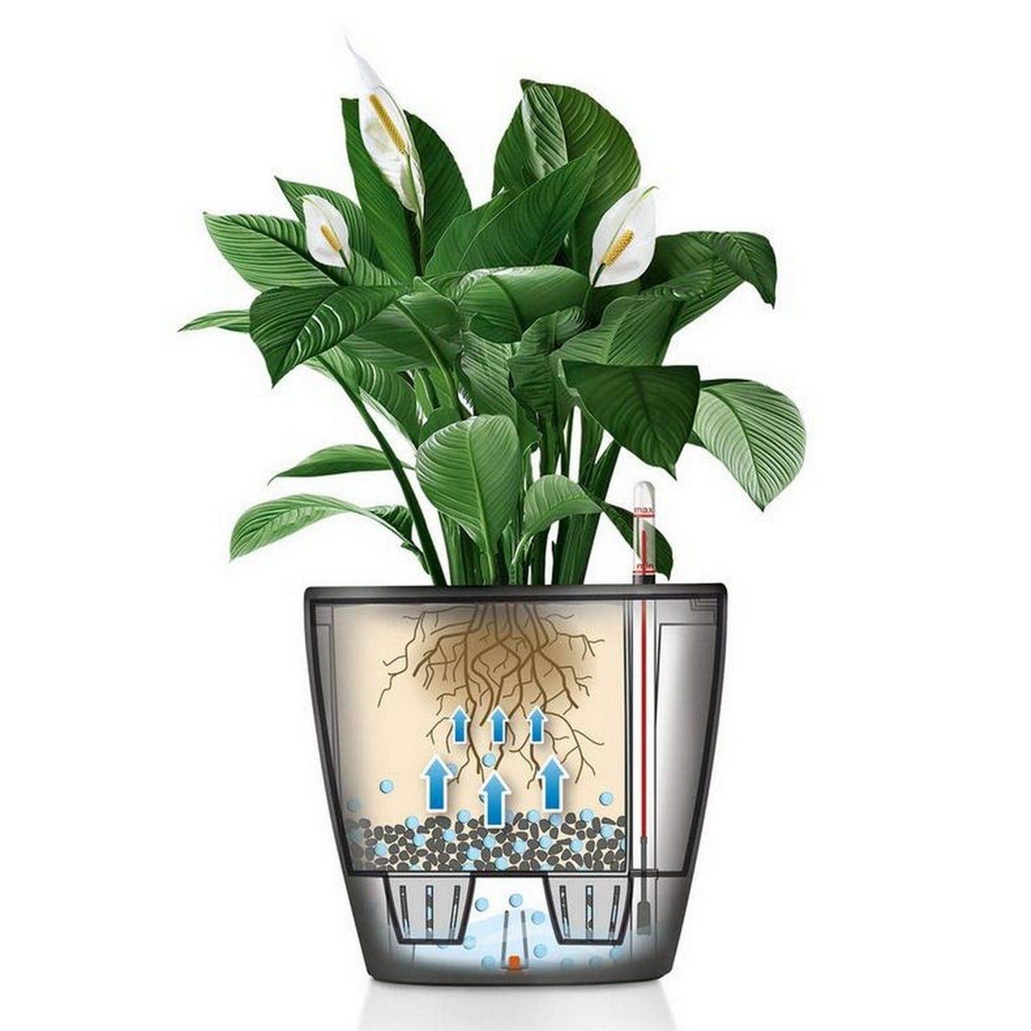 Lechuza Self Watering Planters - Vendita all'ingrosso Vasi per piante - LECHUZA CLASSICO LS Vaso rotondo in poliresina21
