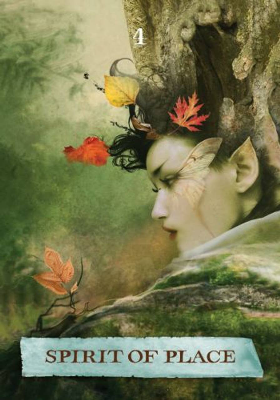 Cardshouse – wholesale Tarot cards – The Enchanted Map Oracle Cards Hay House8