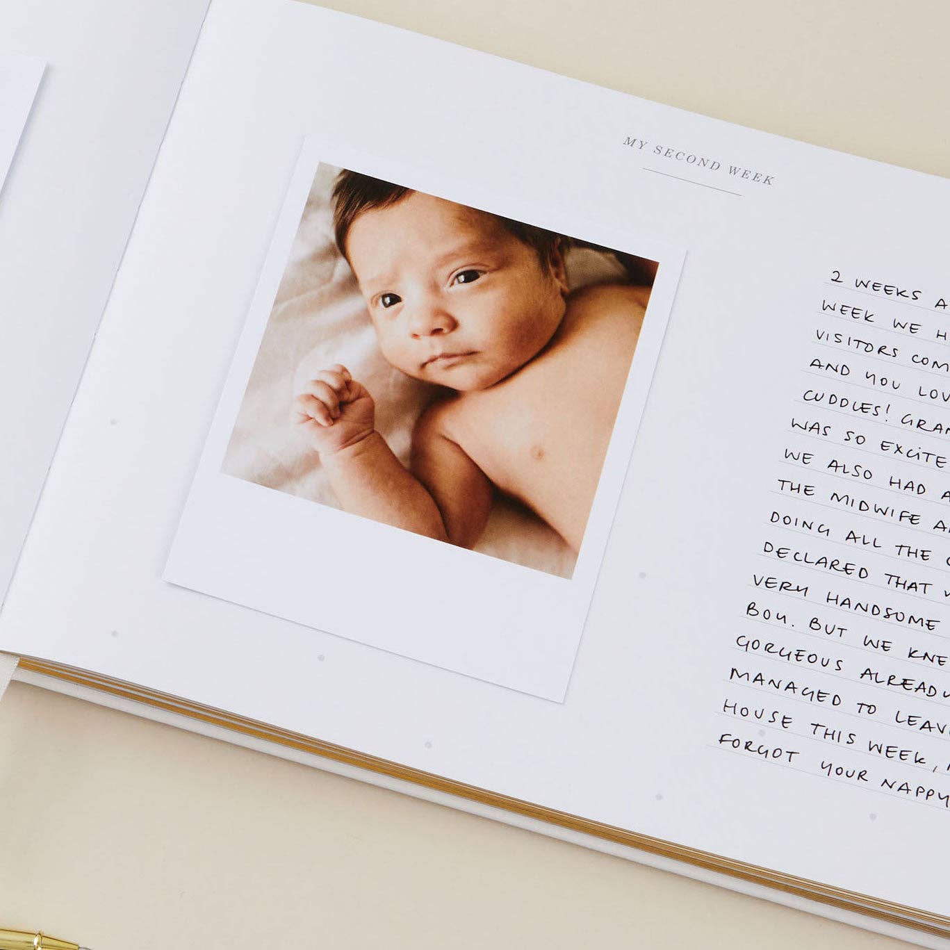 Blush And Gold - Wholesale Memory Book - Kids & Baby - Baby Memory Book - Safari (Cloth) - new parents keepsake8