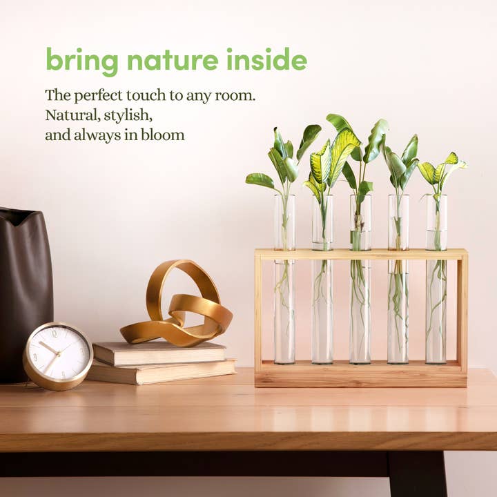 Planter's Choice - Wholesale Live Plant - Light Up Bamboo Vial Air Planter2