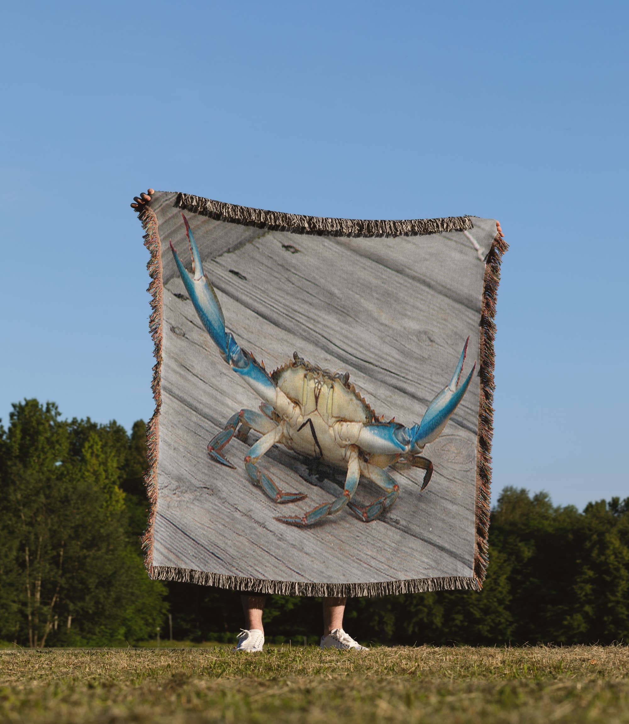 3dRose - Wholesale Throw Blanket - 3dRose, Image of Blue Crab - marine, creature, animal, wildlife, ocean, invertebrate, blue, crab, seafood, Blanket1