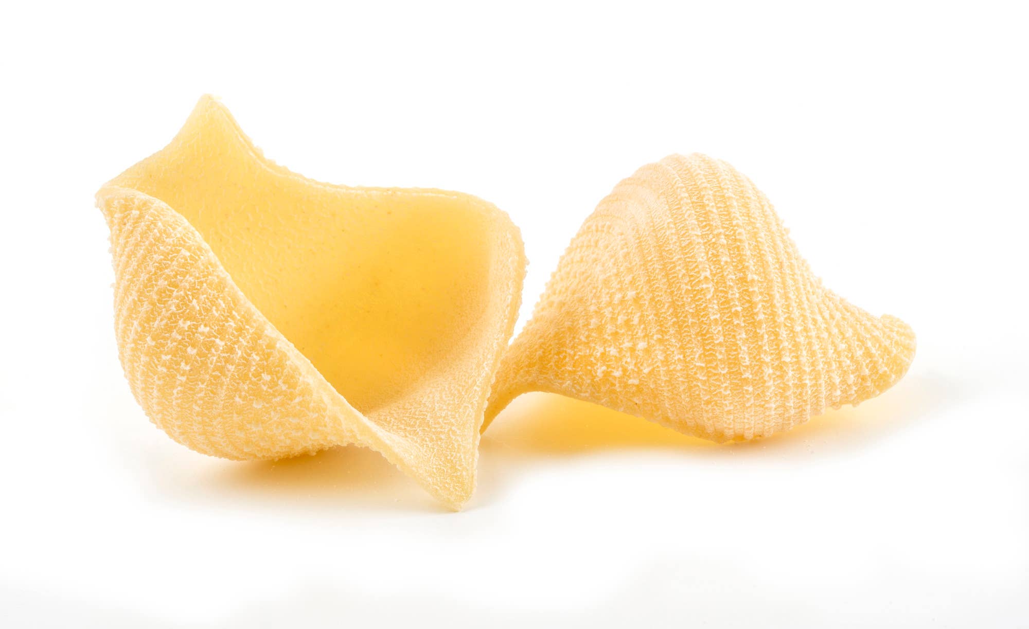 Pasta Buondonno di Andrea Buondonno - Wholesale Pasta - Conchiglioni, Pasta di Gragnano PGI1