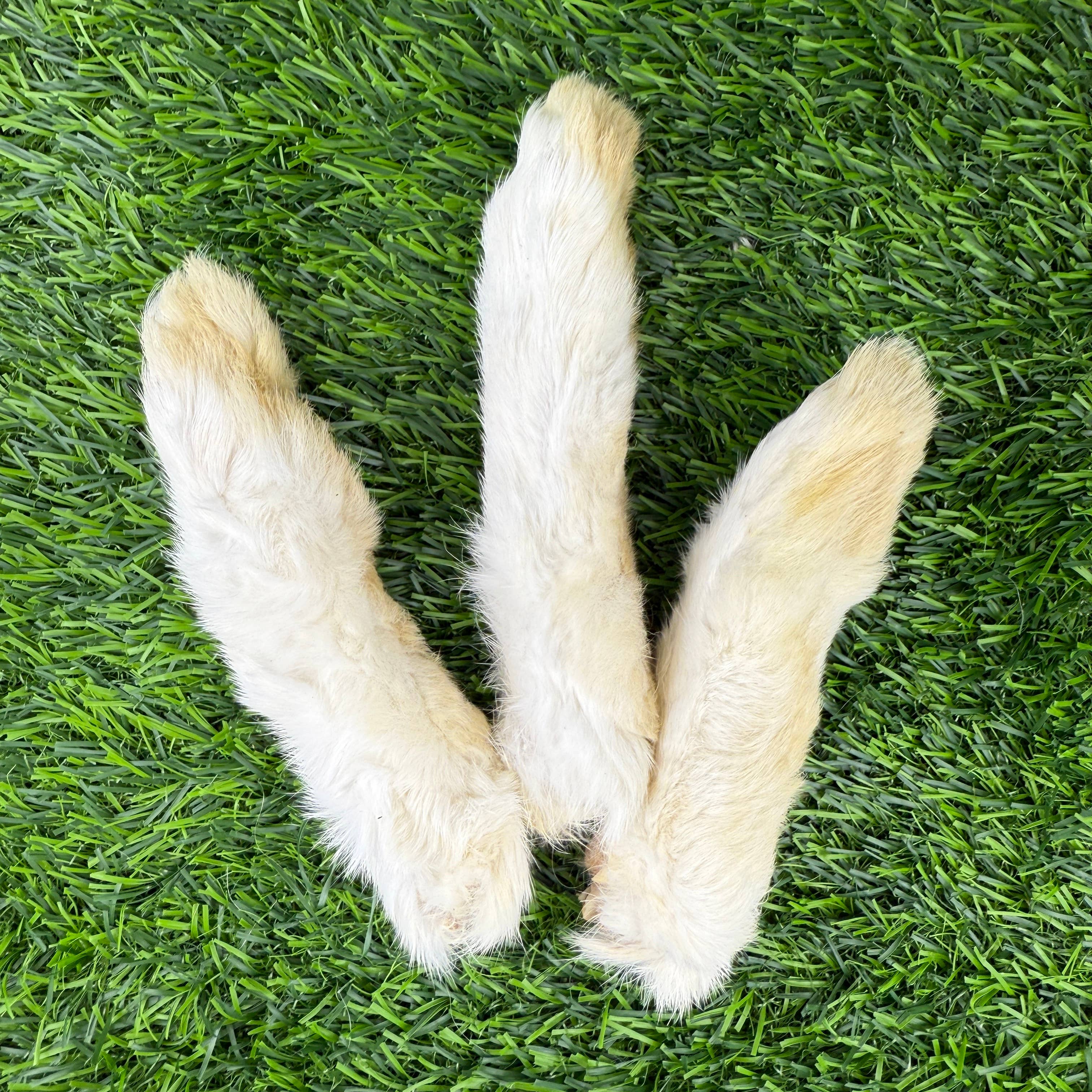 Golden Nibbles - Wholesale Pet Treats - Dog - Rabbit Feet - Bag of 6-Freeze-Dried Treat/Chew for Dogs/Cats2