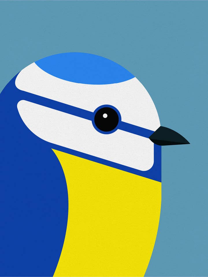 Blue Tit for wholesale by Rocket Jack