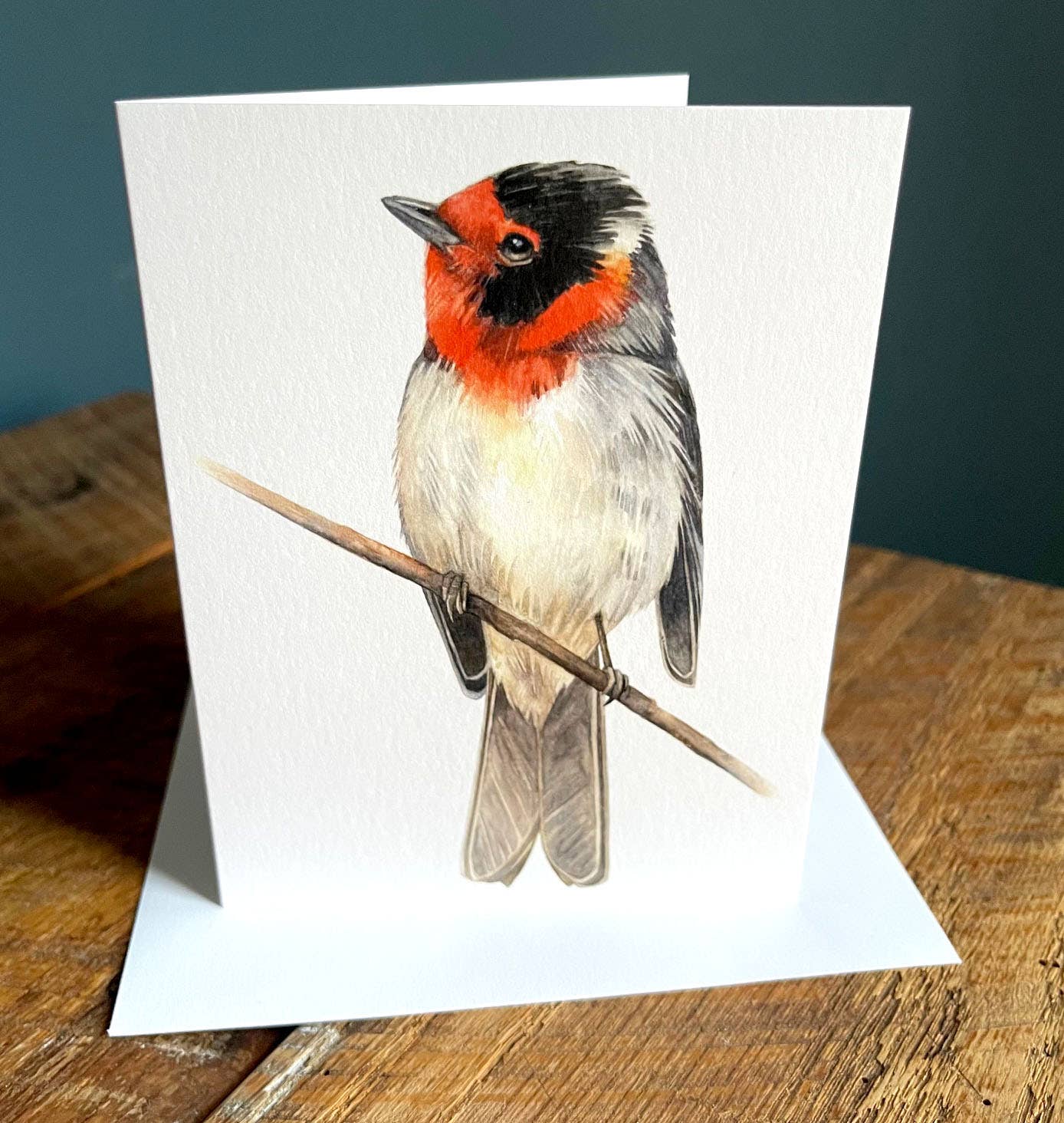 Amy Shawley Paquette - Wholesale Everyday Greeting Card - Red-faced Warbler - Blank Note Card1