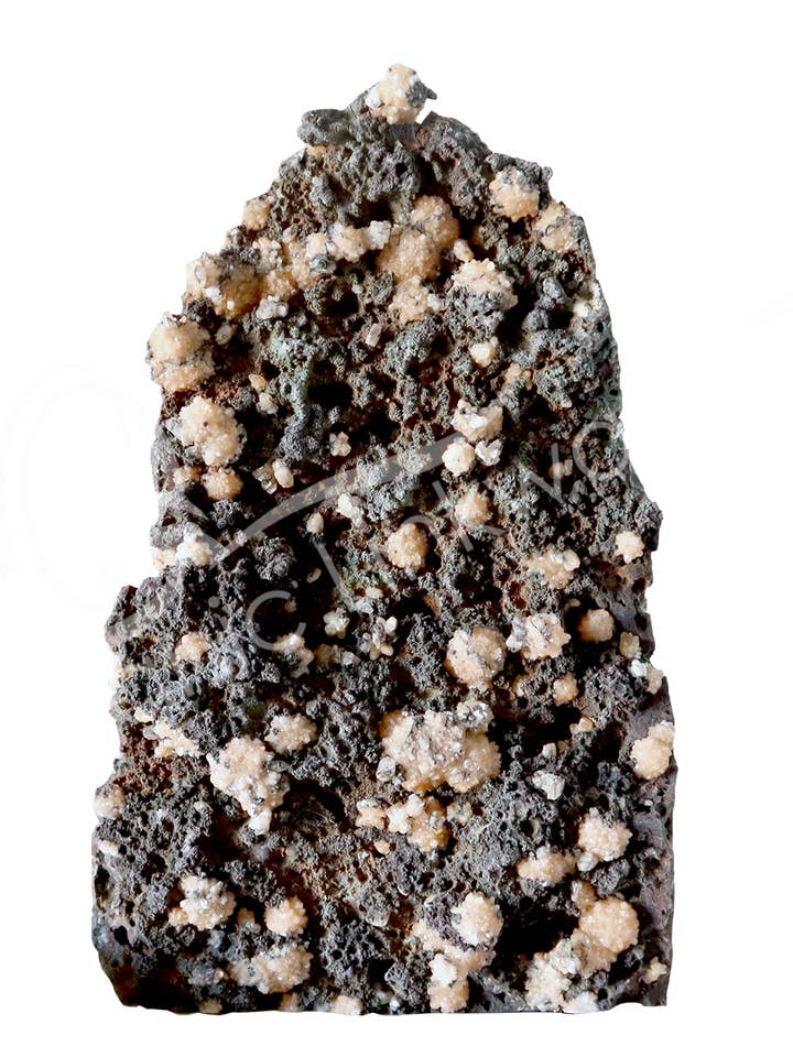 (PC)SPECIMEN - STILBIT, BLOMST PÅ MATRIX FRITSTÅENDE 17 X for engroshandel hos Oceanic Linkways Inc