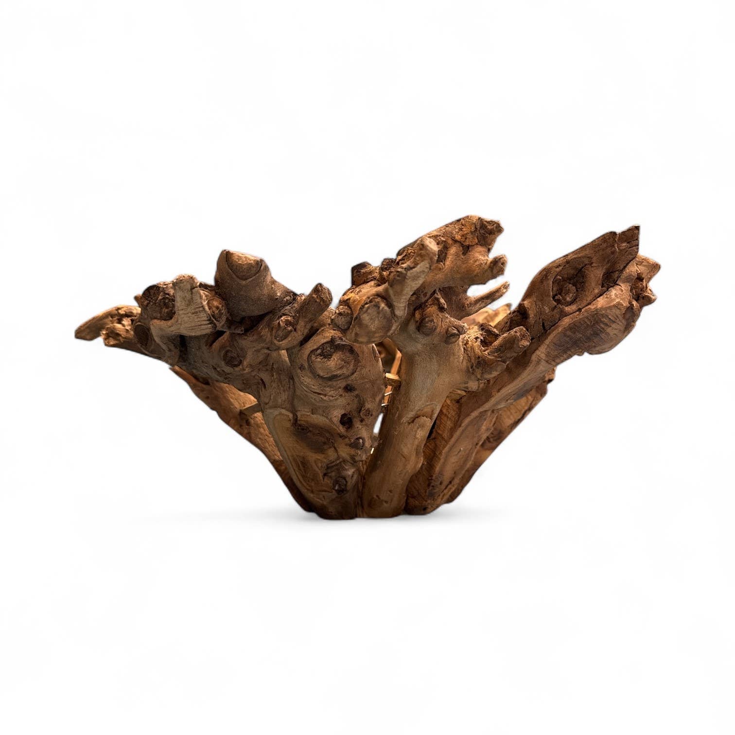 Forever Green Art - Wholesale Decorative Plate/Dish/Bowl - Large Branchy Wood Bowl