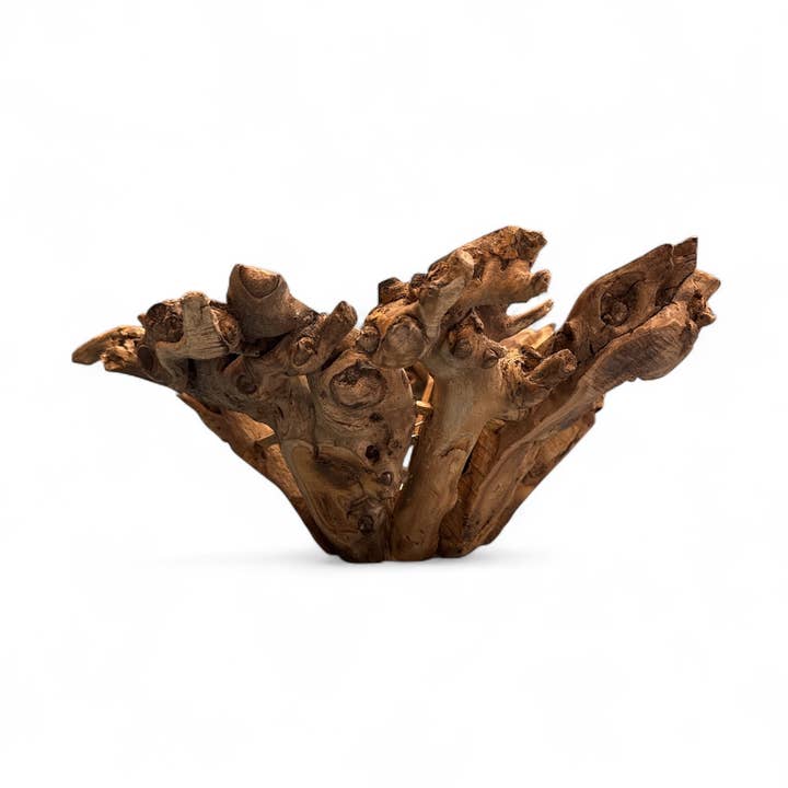 Forever Green Art - Wholesale Decorative Plate/Dish/Bowl - Large Branchy Wood Bowl0