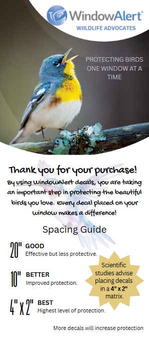 WindowAlert, Inc. - Vente Autocollant mural - Autocollants de fenêtre Alert Hawk6