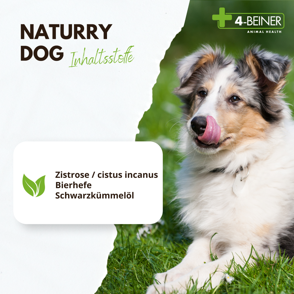 Kauartikel.com GmbH - Wholesale Pet Supplement - Dog - 4-legged Naturry Dog 80g2