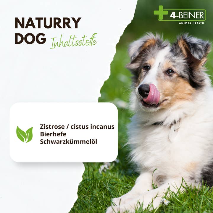 Kauartikel.com GmbH - Wholesale Pet Supplement - Dog - 4-legged Naturry Dog 80g2