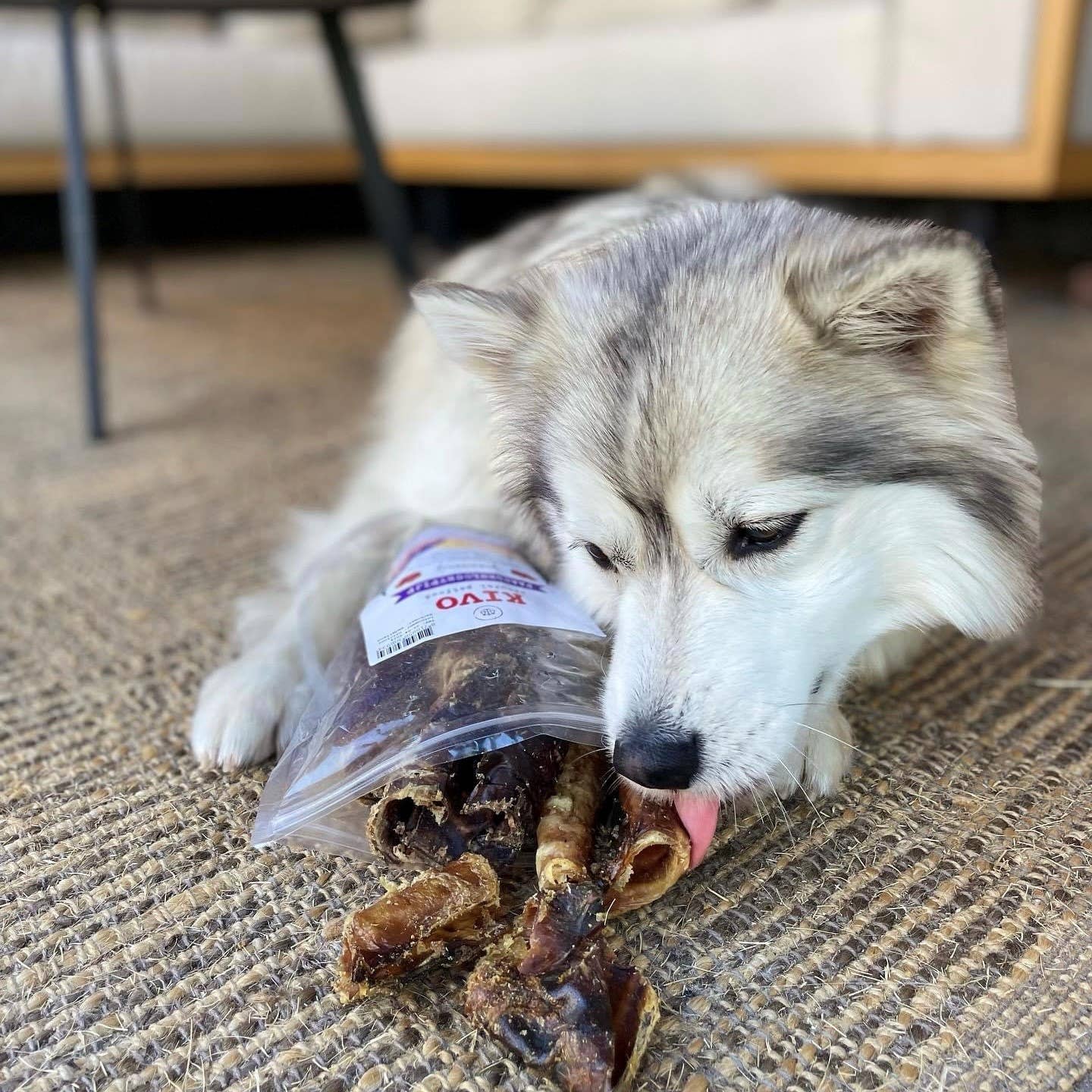 Kivo Petfood - Wholesale Pet Food - Dog - Dog Snack - Horse Trachea Sawn - 250g1