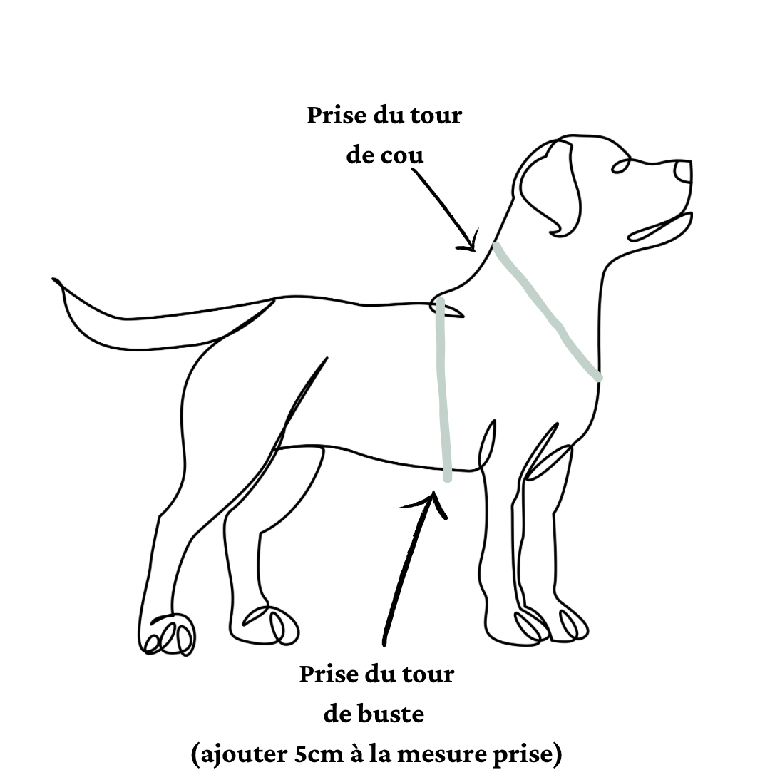 Splash By Happy - Wholesale Pet Harness - Dog - Biothane® two-clip harness24