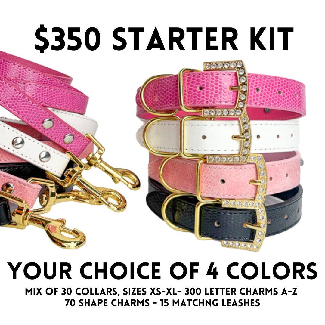 House of FurBaby - Wholesale Pet Collar - Cat/Dog - DIY Pet Collar Bar Starter Pack - Gold - 280 Pieces6