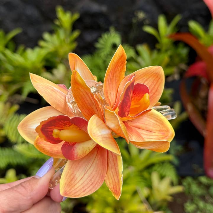 Cattleya Orchid - orange for wholesale by Phases Hawaii