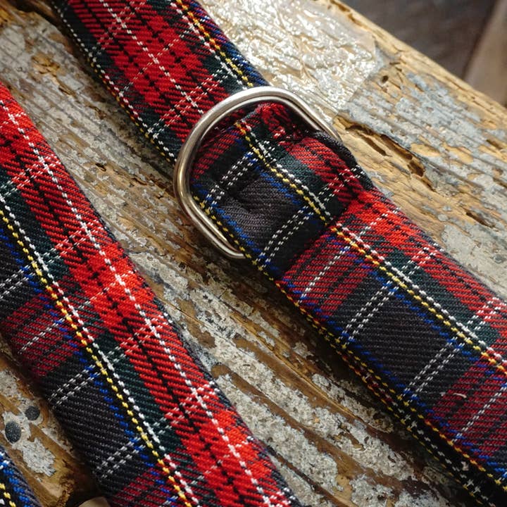 hundsfutter - Wholesale Pet Collar - Dog - Collar, leash, and bag holder set.12