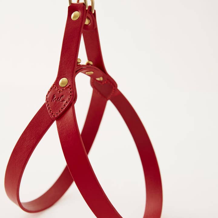 Muso & Co – Großhandel Haustiergeschirr – Hund – Klassisches Geschirr aus pflanzlich gegerbtem Leder24