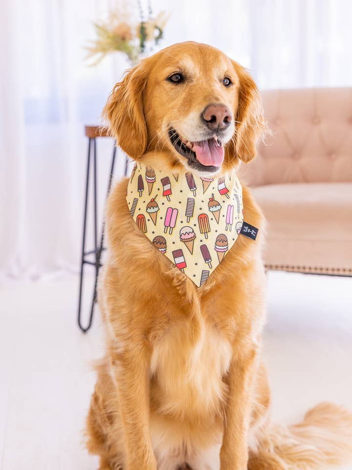 Bandana pour chien en crème glacée, Bandana pour chien d'été, Chien d'été pour la vente par Tails Up, Pup
