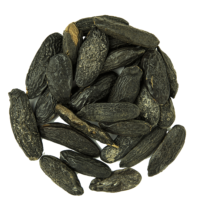 JS1599 - Wholesale Dried Spice - Tonka Fava Beans2