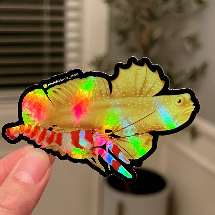Yellow Watchman Goby and Pistol Shrimp (Holographic) for wholesale by Reef of Clowns