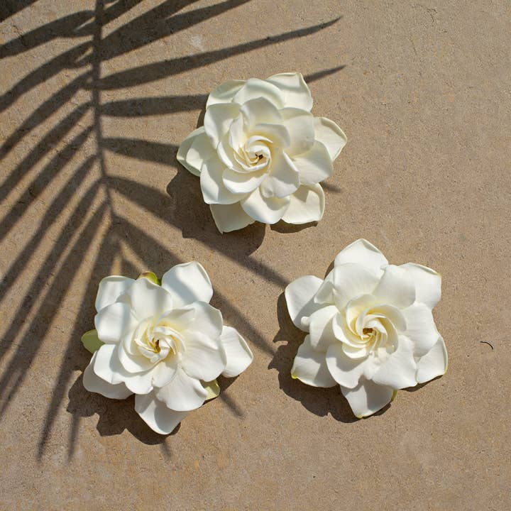 Ua Hawaii - Wholesale Face & Body Mist/Water - Kiele Gardenia Hydrating Mist for Body and Hair2