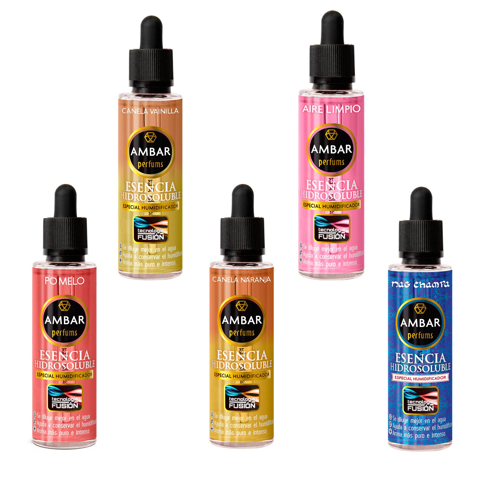 Kcosmetique – Engroshandel Duftolie – ESSENS AMBAR DAMA DE NOCHE 50ML3