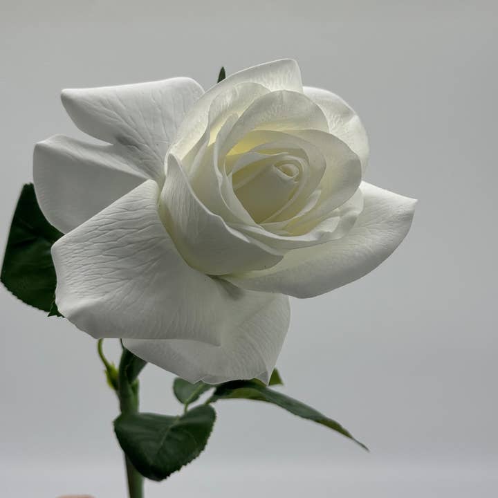 JKF & Co Pty Ltd - Wholesale Artificial flowers - Anyssa Real Touch Rose White1