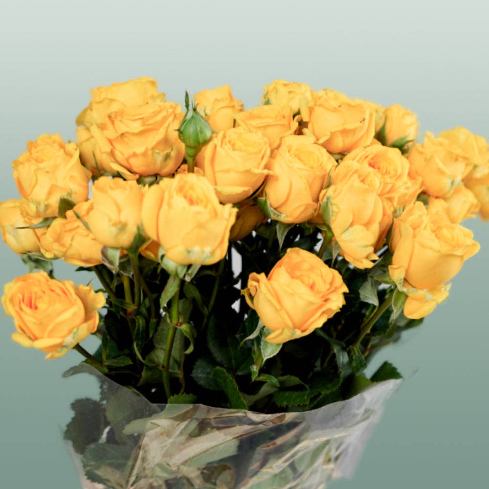 Pink Spray Rose Ramona for wholesale on Faire4