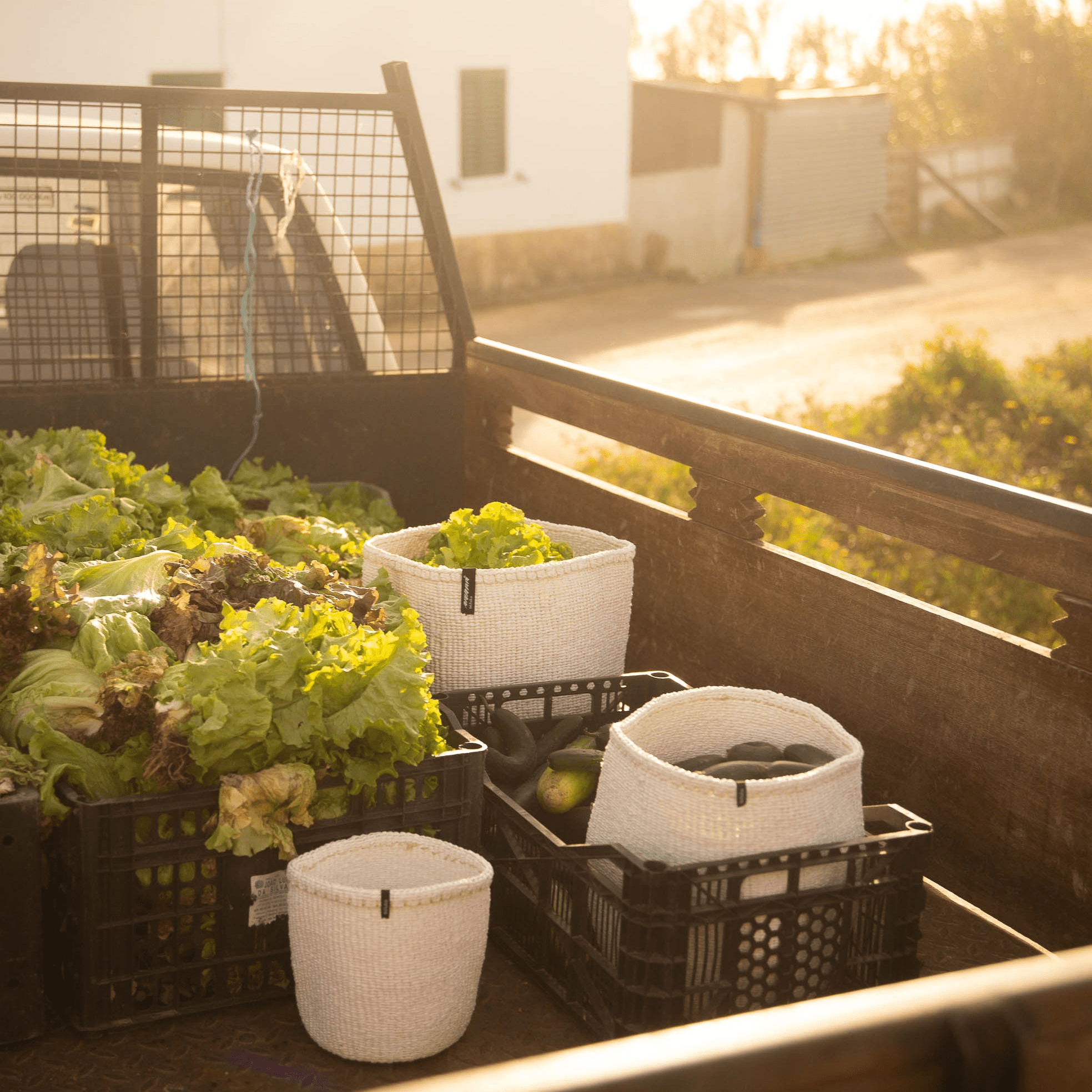 Mifuko – Engroshandel Kurv – Kiondo kurv | Hvid XS1