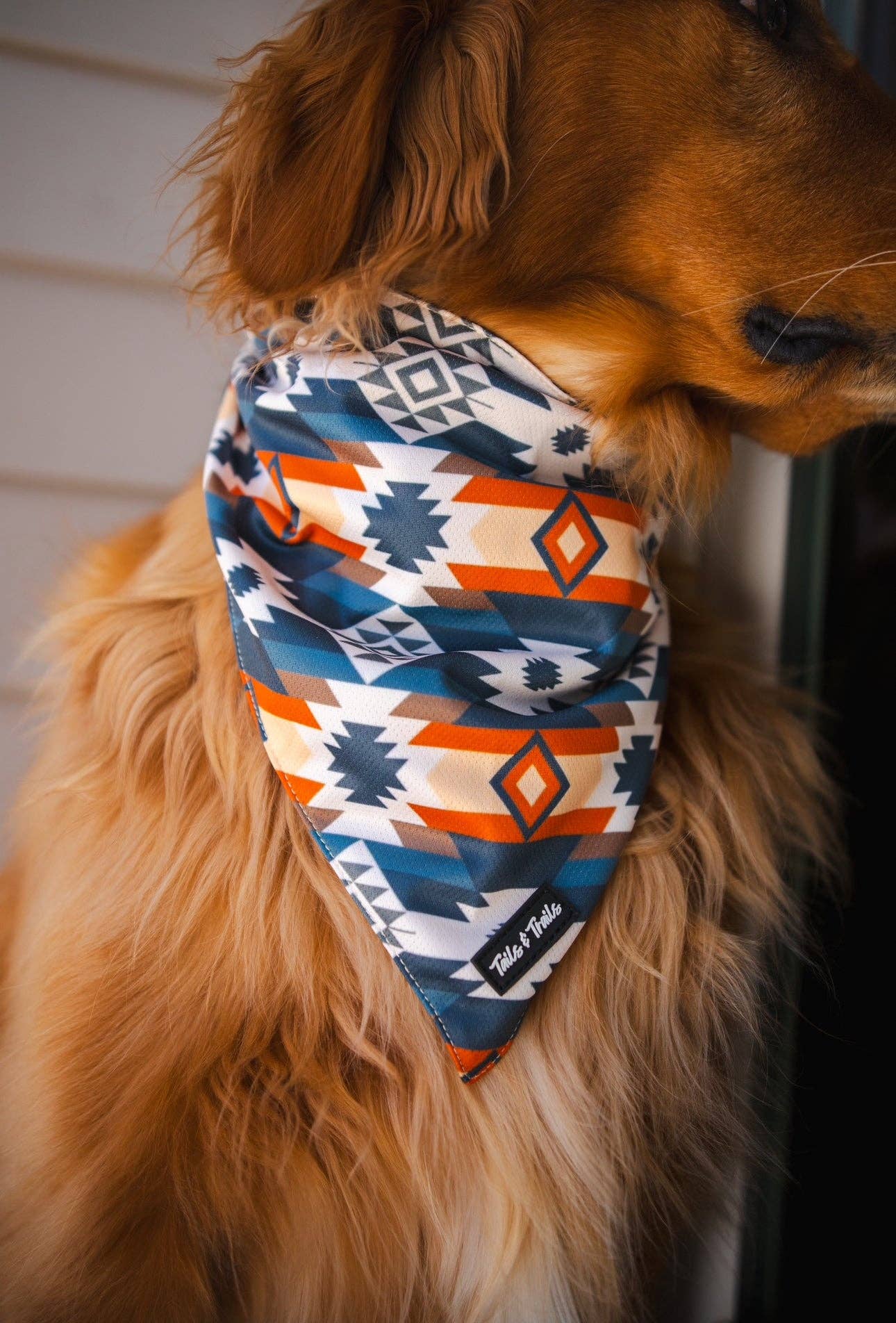 Tails and Trails - Wholesale Pet Bandana - Dog - Mayan Bandana1