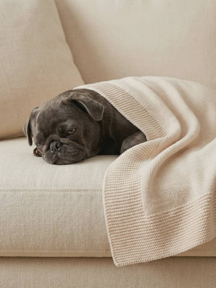 DOG CASHMERE BLANKET IVORY for wholesale by bobbin & tricot