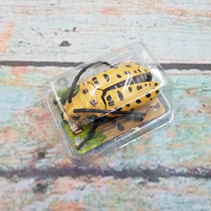 MIAS SHOP - Wholesale Classic Toy - Kids - Clockwork Chain Longhorn Beetle Crawling Toy1