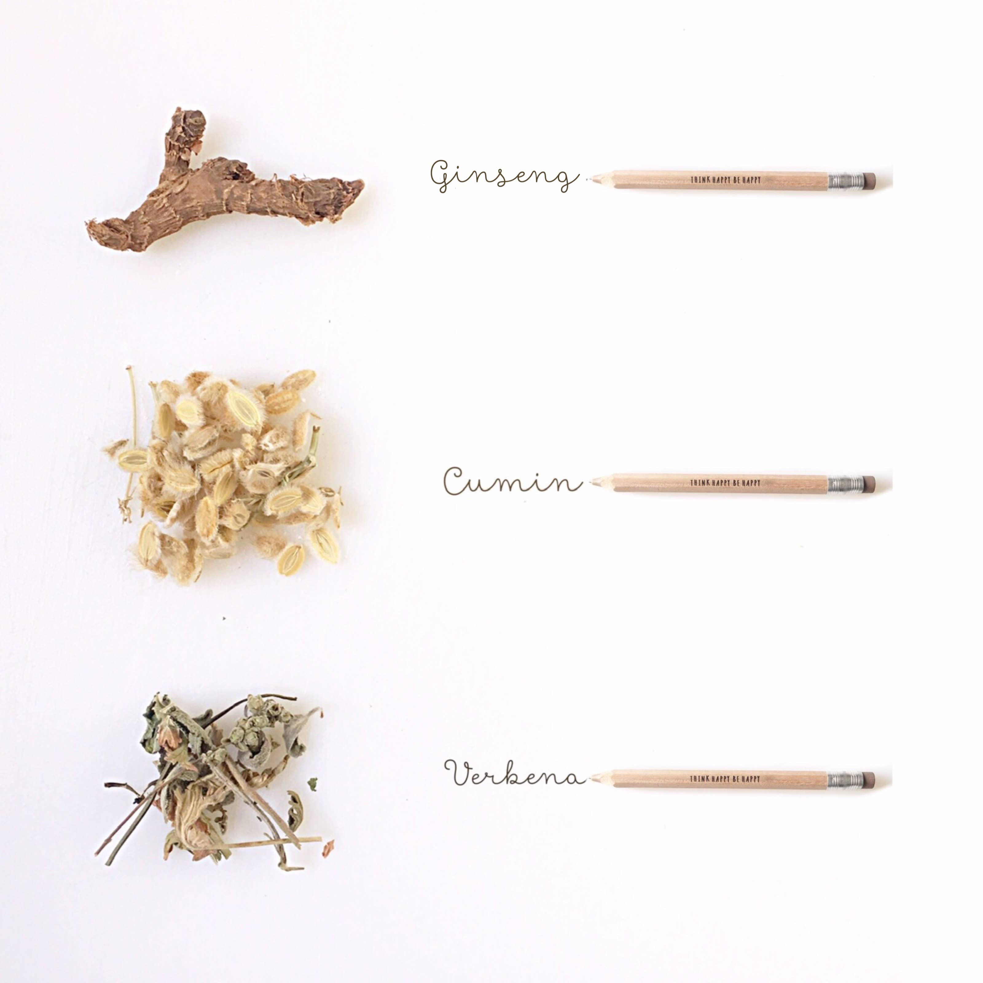 Paper Soap Co – sabonete sólido por atacado – Turtle - Sabonete - Embrulhado8