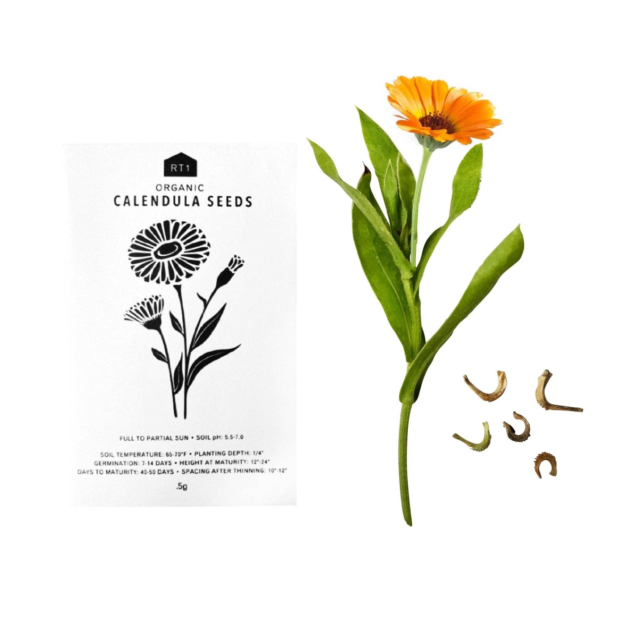 RT1home – wholesale Frön – ÖRTFRÖN - 1 PACK42