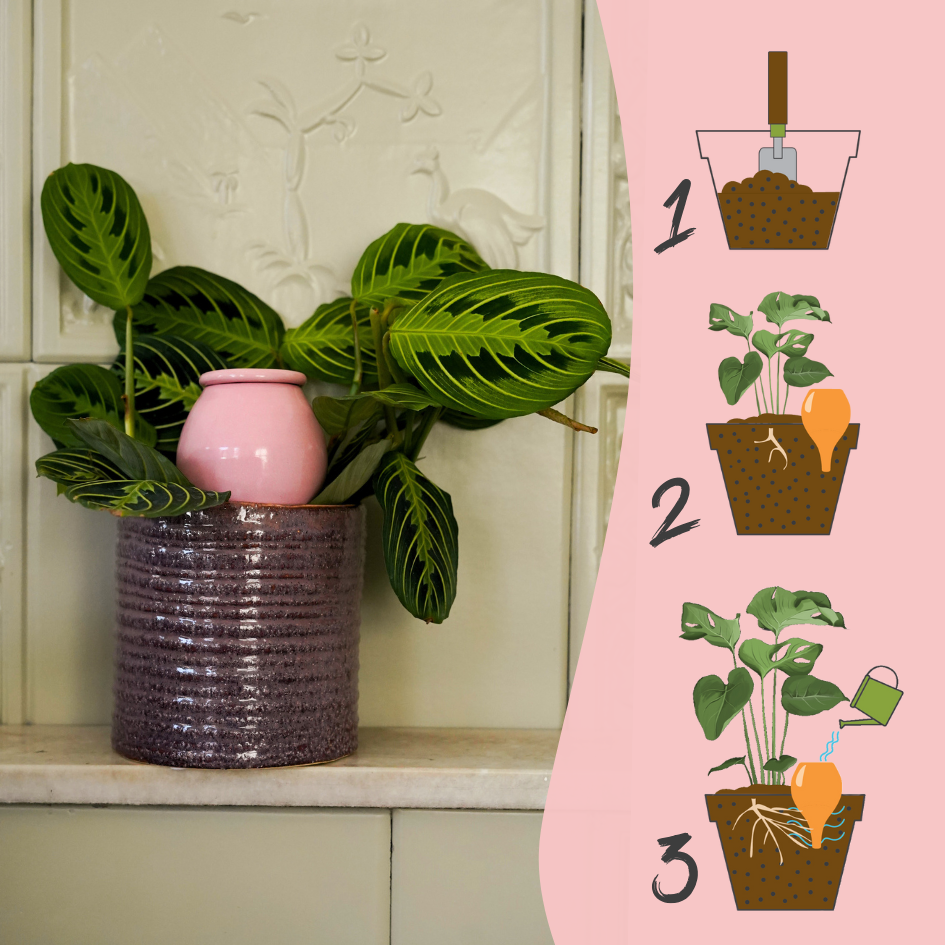 LUTOYA CREATIV – wholesale Watering can – Grand Olla ecological sprinkler - Lutoya Pink - 70 cl2