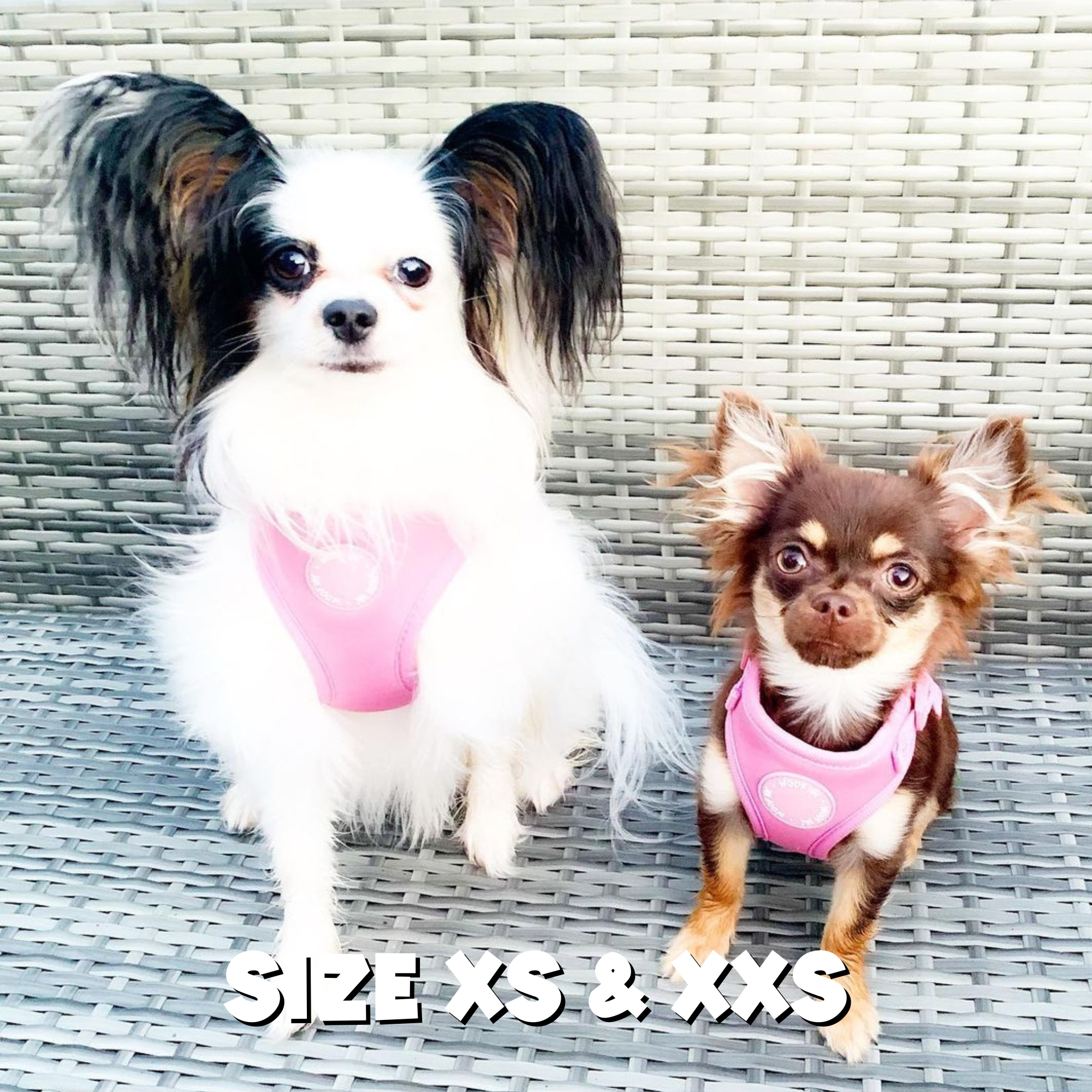 WOOF INC - Wholesale Pet Harness - Dog - Dusty Pink Adjustable Dog Harness11