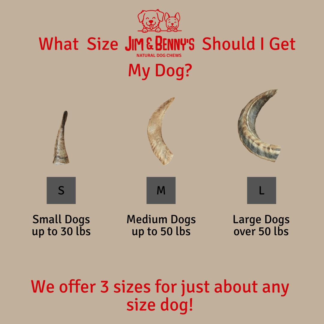 Jim and Benny's - Wholesale Pet Chew Toy - Dog - Sheep Horn Chew Shelf Display 2