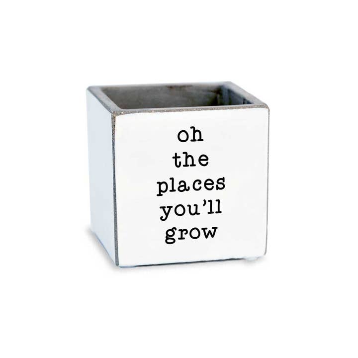 Pinetree Innovations - Wholesale Plant Pot - Oh The Places You'll Grow | Succulent Pot