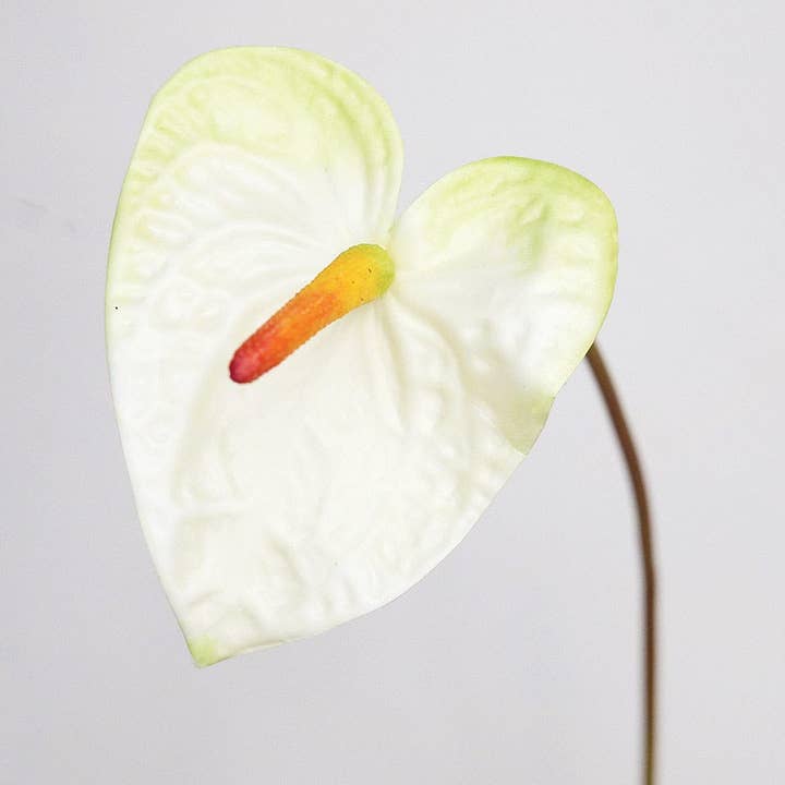 Prestige Botanicals - Wholesale Artificial flowers - Painters Palette Anthurium 22"3