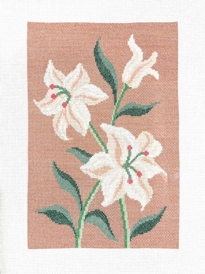 Lilies por atacado de Mão Lusitana