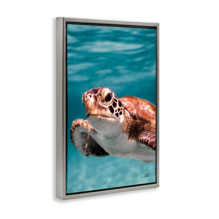 Stupell Industries - Wholesale Wall Decor - Kids & Baby - Underwater Sea Turtle Swim Floater Framed Art19