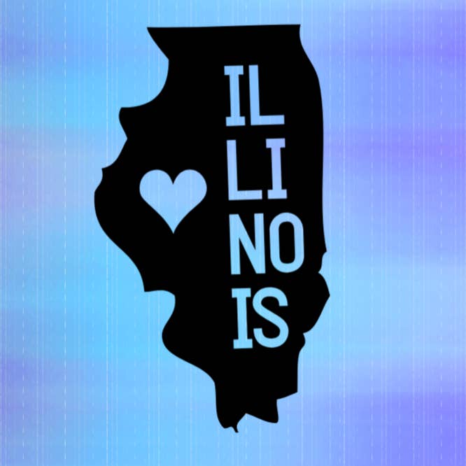Illinois State Vinyl Decal Sticker for wholesale by Bow-Dacious Designs
