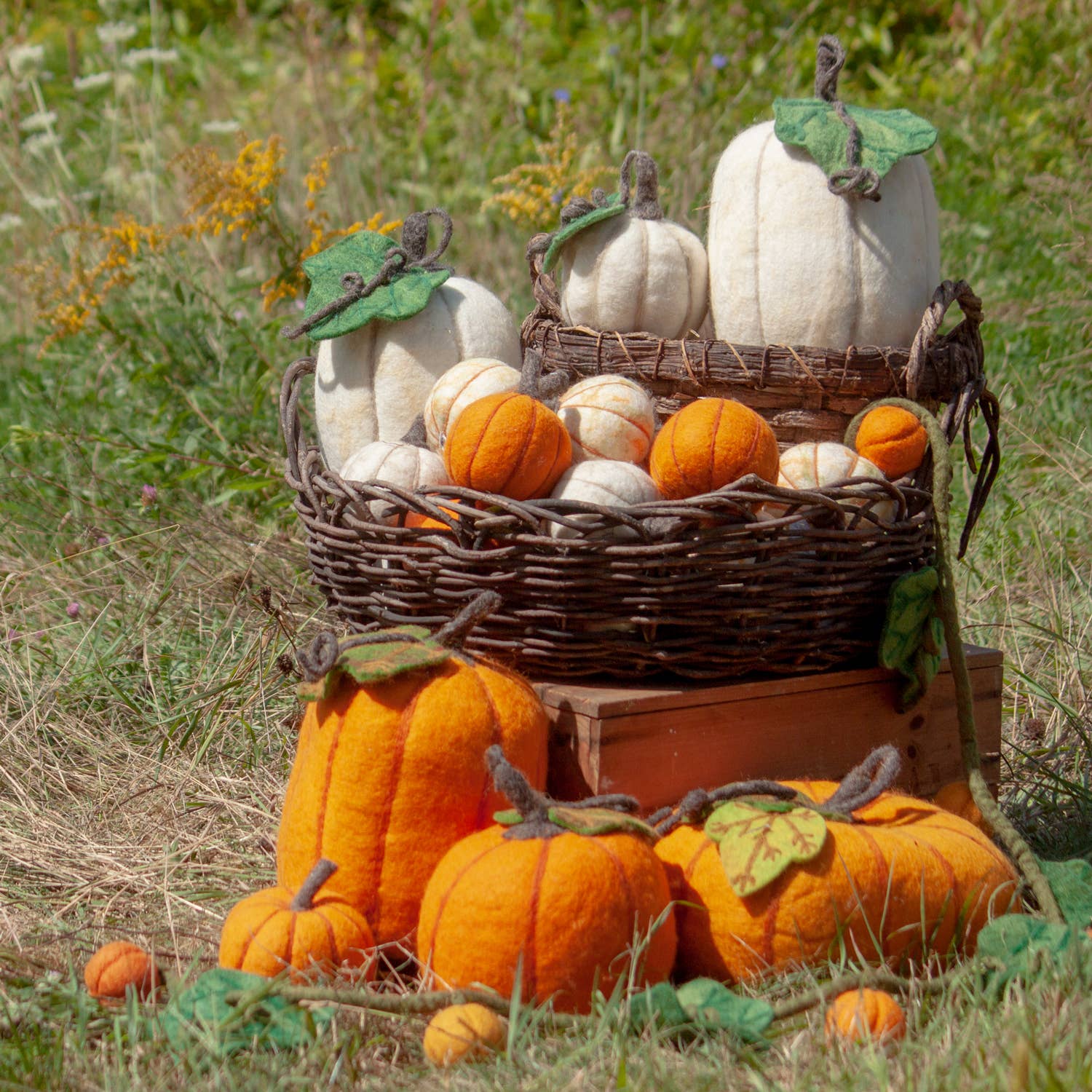 dZi Handmade - Wholesale Decorative Tabletop Object - Fairy Pumpkin, 8"dia.3