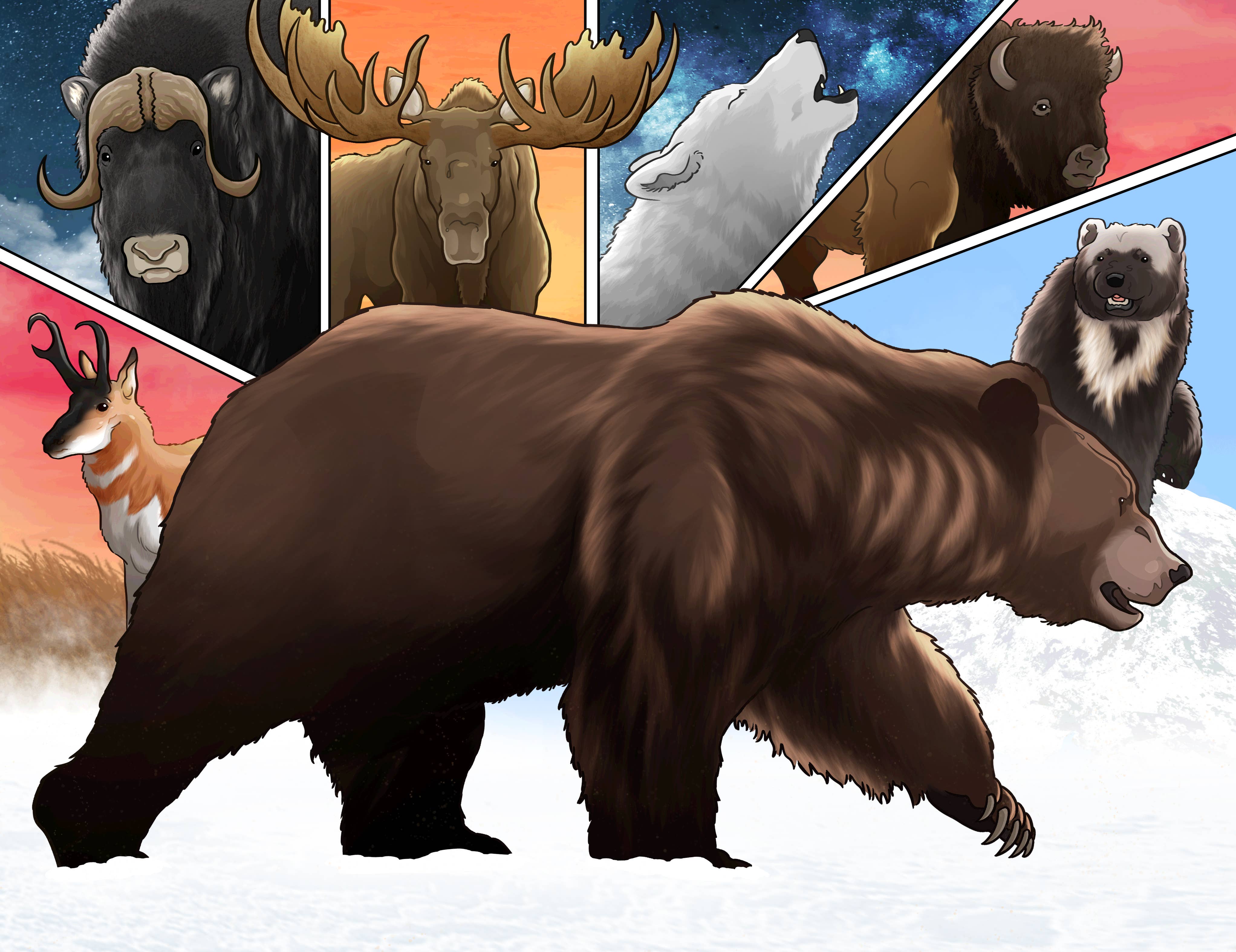 Rextooth Studios – Großhandel Comicroman – Ice Age, gebundene Graphic Novel2