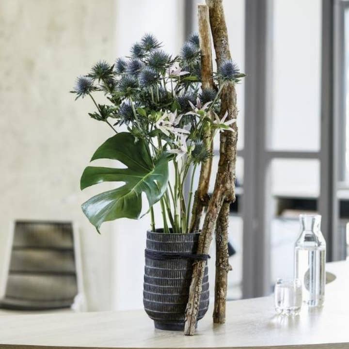 Blue Eryngium Orion Questar (Thistle) for wholesale on Faire1