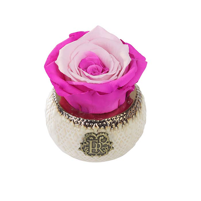 Eternal Roses® - Wholesale Artificial Flowers - Mini Soho Classic Eternal Luxury Rose25